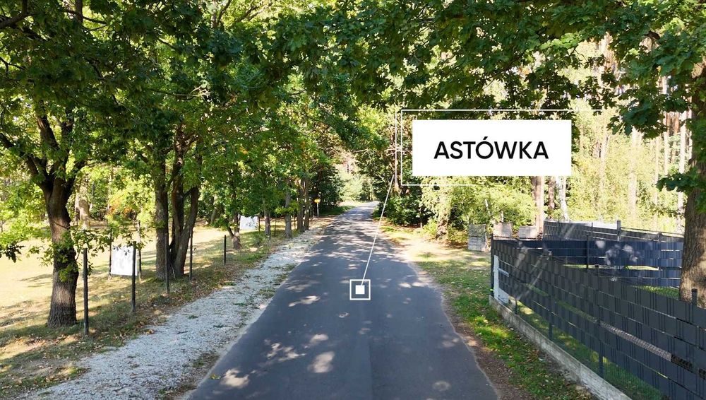 Przepiękna, duża działka przy lesie - Nowy Tomyśl/Chojniki