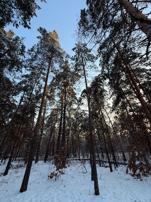 Земельна ділянка під будівництво.