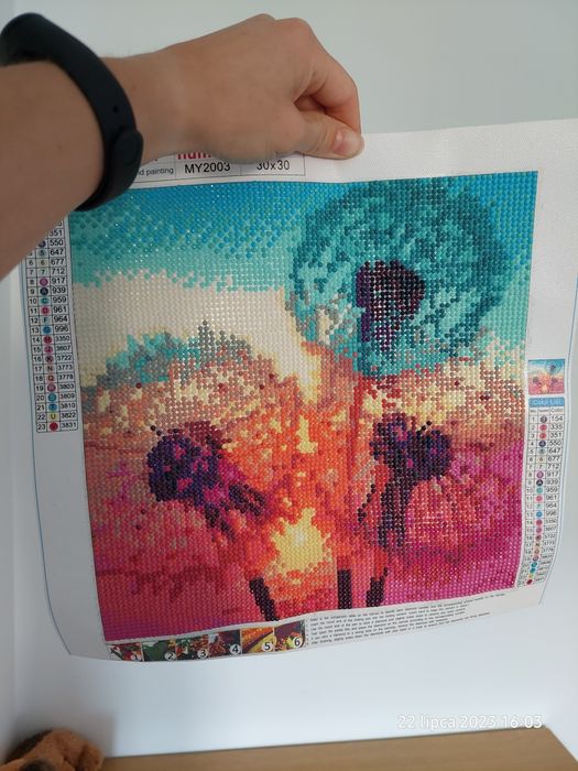 Obrazek haft diamentowy 30x30