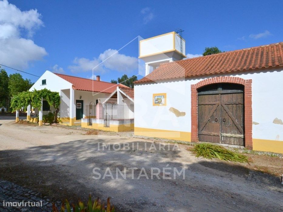 Quinta com 5,8 hectares, em Santarém