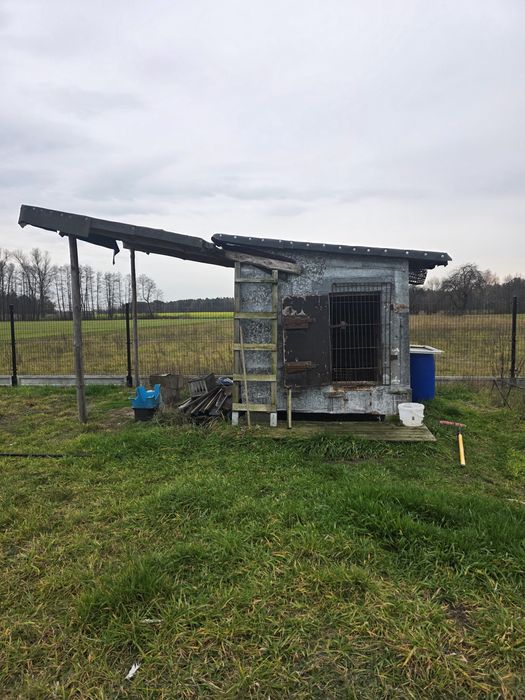 Gołębnik gotowy do użytkowania