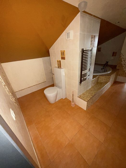 Продам дом в селе Александровка