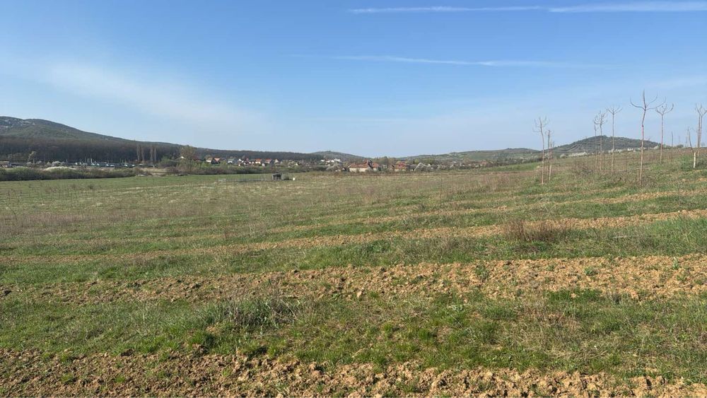 Бізнес Поле продаж