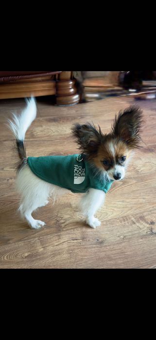 флисовый свитер для собак