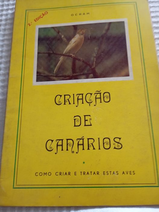 5 Old Bird Books