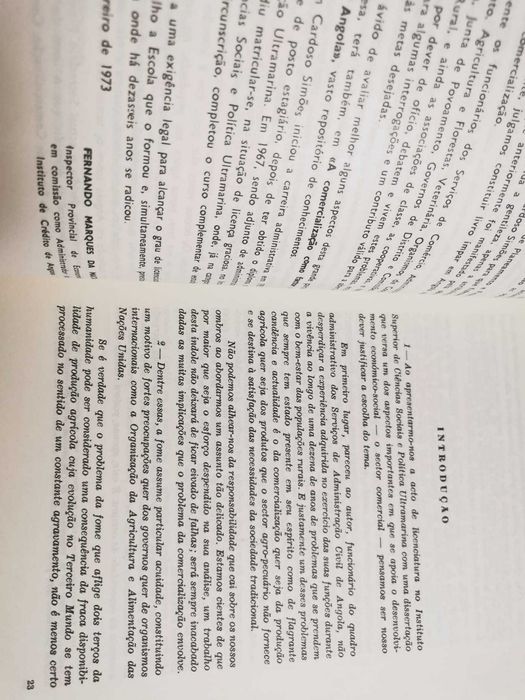 A Comercialização como Factor de Promoção Social em Angola