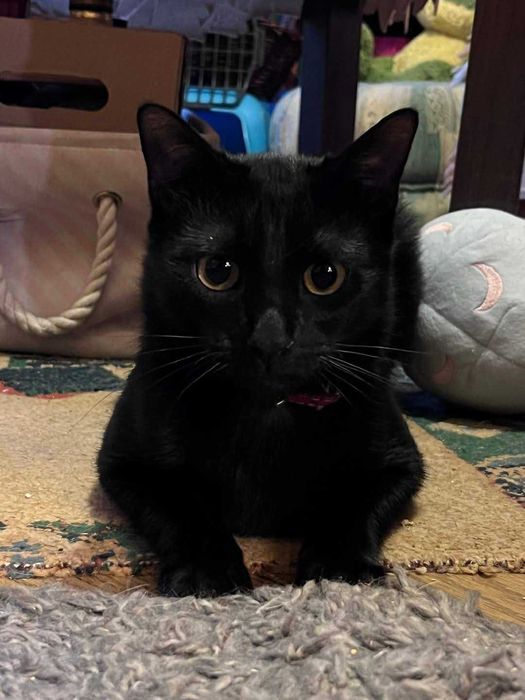 Seneka i Sokrates czekają na Ciebie