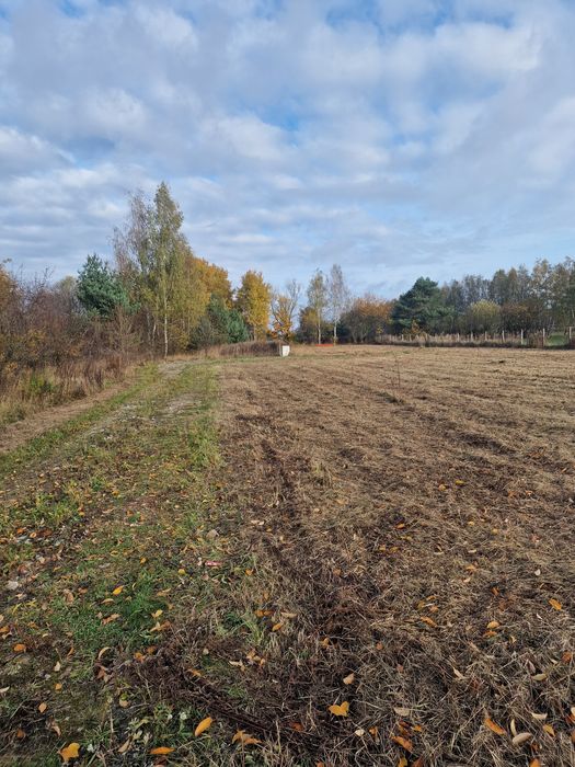 Sprzedaż działki z PnB Skierniewice otulina lasu
