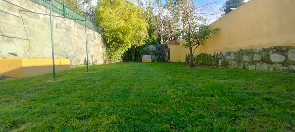 Serviços de jardinagem