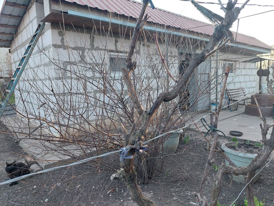 Продам Дом в СК Волна - View 5