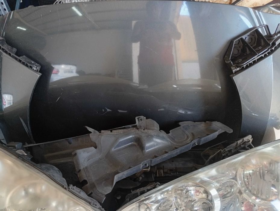 frente chapa peugeot 308 I 1.6hdi