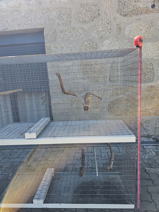 Gaiola para aves