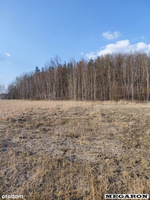 Działka, Borek