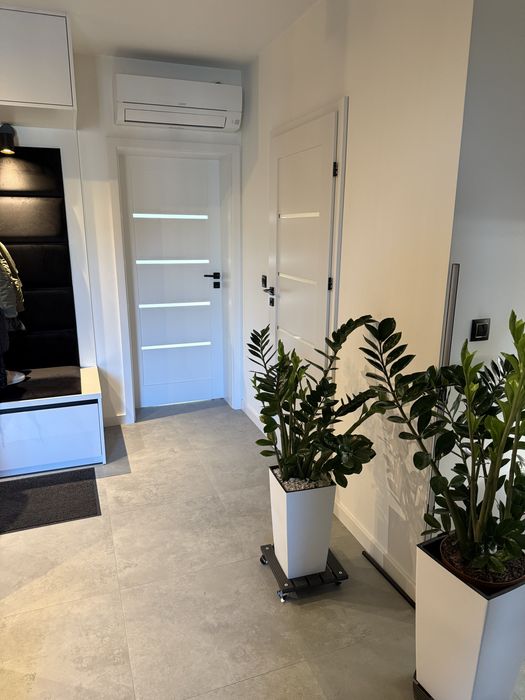 Sprzedam mieszkanie 48m2  Płock osiedle Zielone Korony