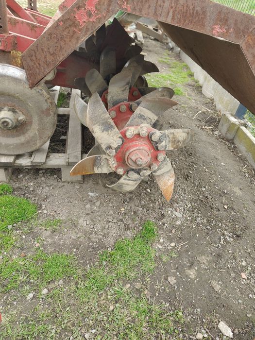 Rozsiewacz nawozów Amazon 803 Zetor