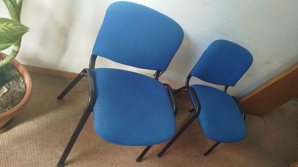 Várias Cadeiras estofadas estrutura em metal