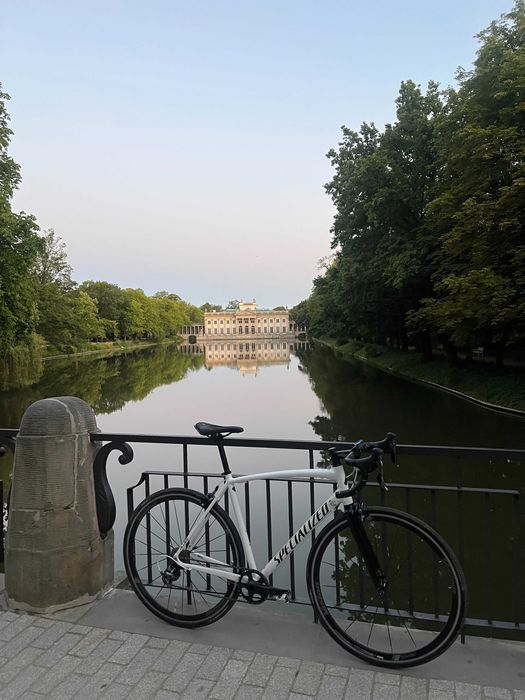 Specialized Allez (L) 9kg / Shimano 105 + Tiagra / Syncros / Garbaruk