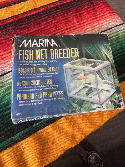 Maternidade - Marina fish Breezer