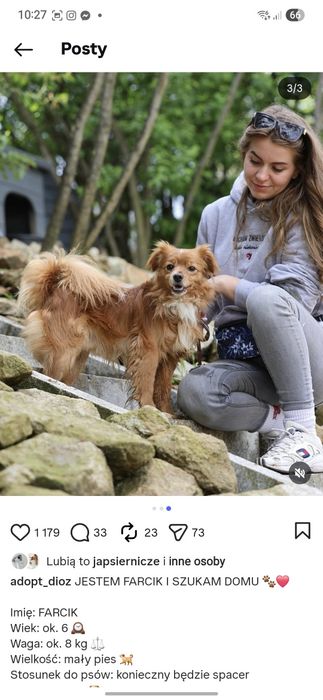 8 kg samiec do adopcji