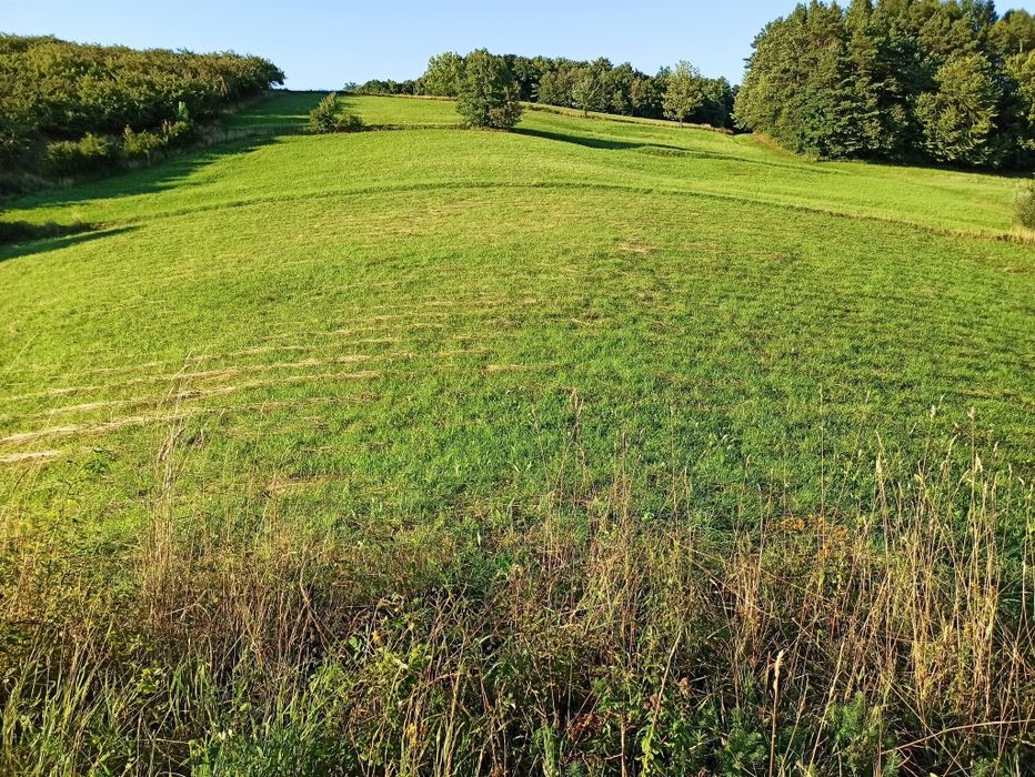 Działka Widokowa Szyk