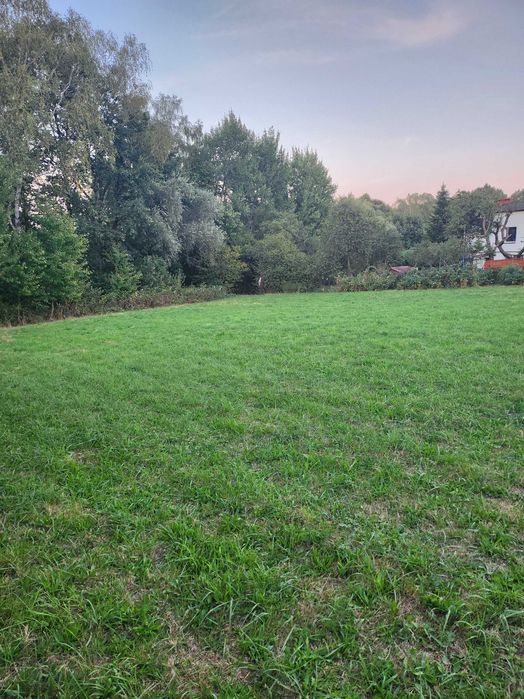 Działka budowlana 1120 m²/Zebrzydowice - Widok 5