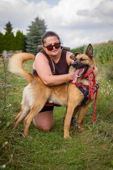 Przyjazny łagodny Logan szuka domku