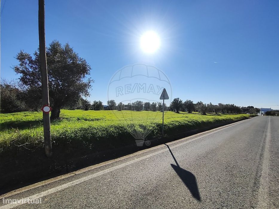 Terreno  para venda — Brogueira, Parceiros De Igreja E Alcorochel, Santarém