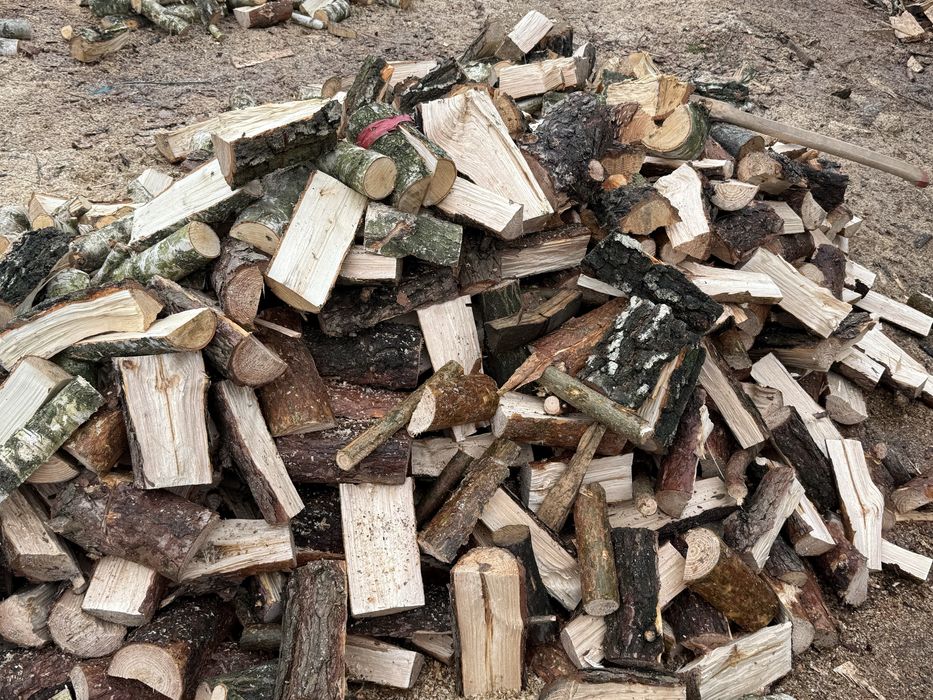 Дрова тверді та мякі породи рубані та колодах