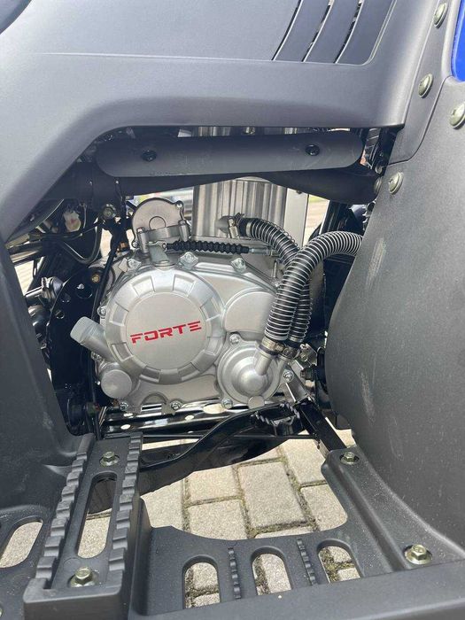 Квадроцикл FORTE ATV 250 bs