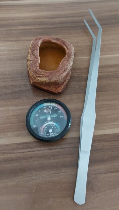 Terrário + Acessórios