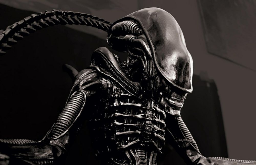 Alien Xenomorph Figure in Meditation64738675666817120