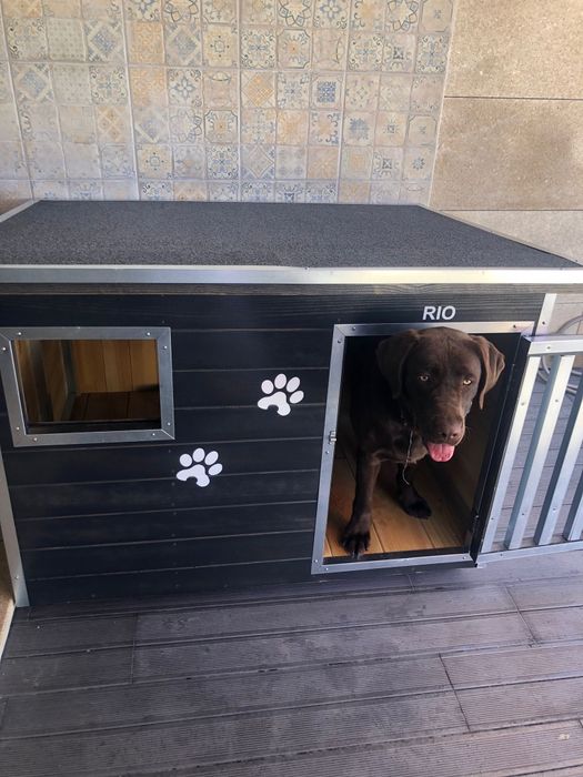 Casotas Balgaves,  o melhor abrigo