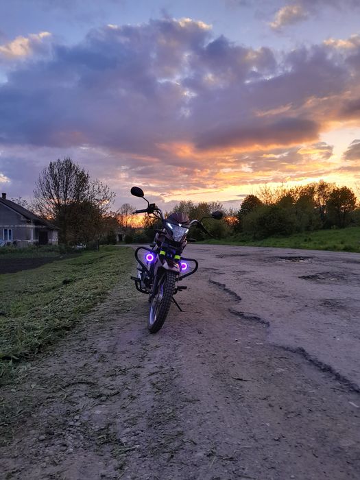 Musstang fit 2 (2023)