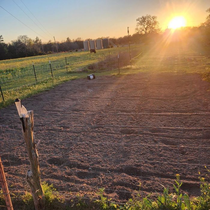 Usługi ogrodnicze, glebogryzarka separacyjna, mini traktorek