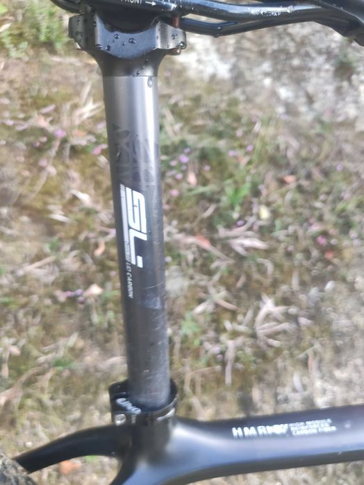 Berria Bravo em carbono
