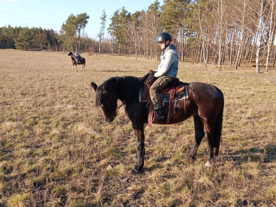 Jazda konna lub dzierżawa