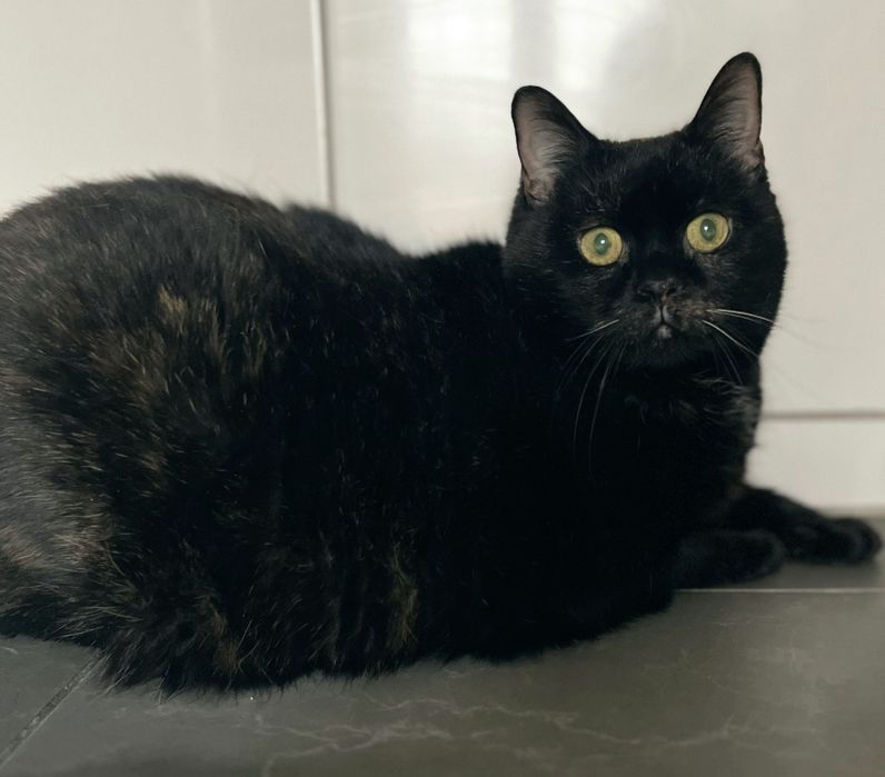 To Merry ...błagam o szansę dla niej ...