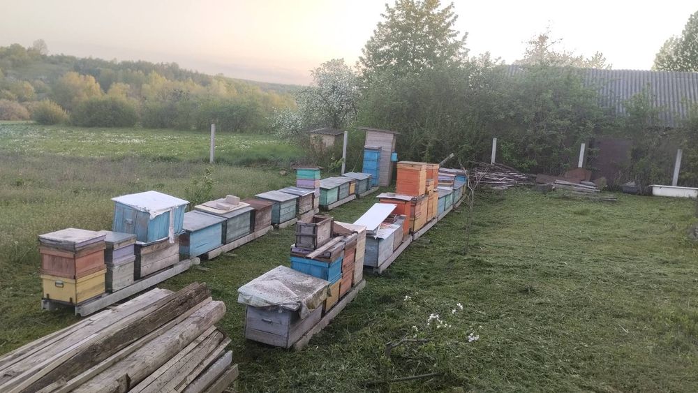 Продам вулики в хорошому стані