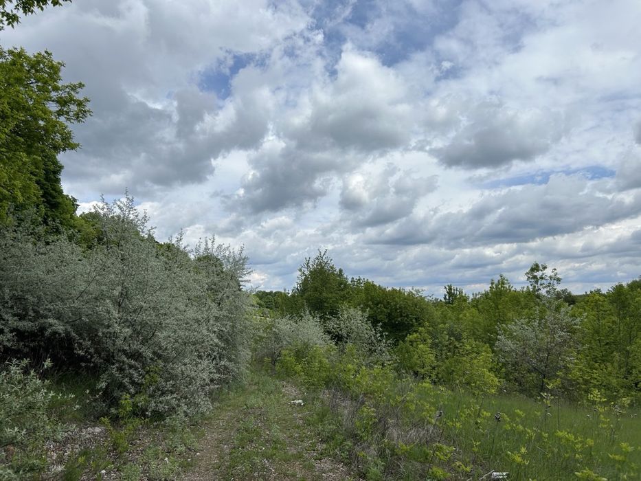 Земельна ділянка 6 га! Кагарлик!
