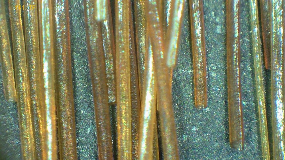 Badanie trichoskopowe w domu klienta