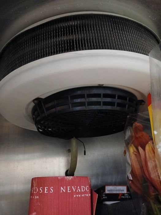 Grande arca frigorífico refrigeradora