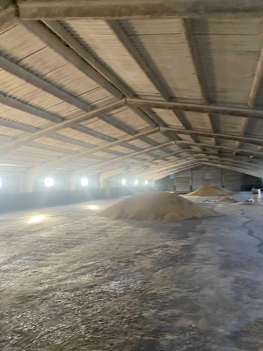 Нежитлові приміщення (ферма)