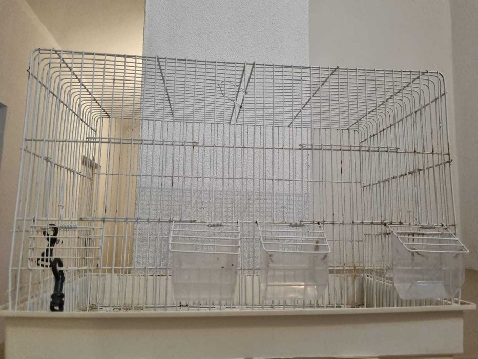 Gaiola/viveiro duplo para aves