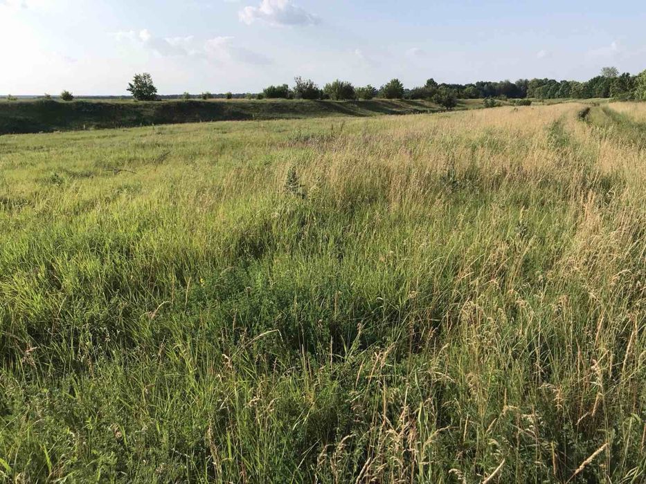 Продам землю 12 гектар 1000$ за га