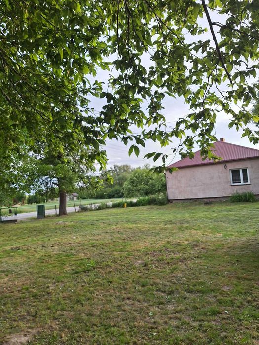 Dom z dużą działką, siedlisko