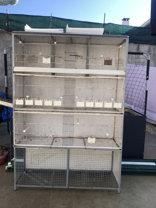 Vendo viveiro com varias divisorias semi novo