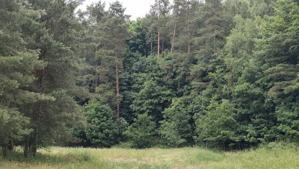 Działka nad kanałem Iławskim z warunkami zabudowy - Więcej