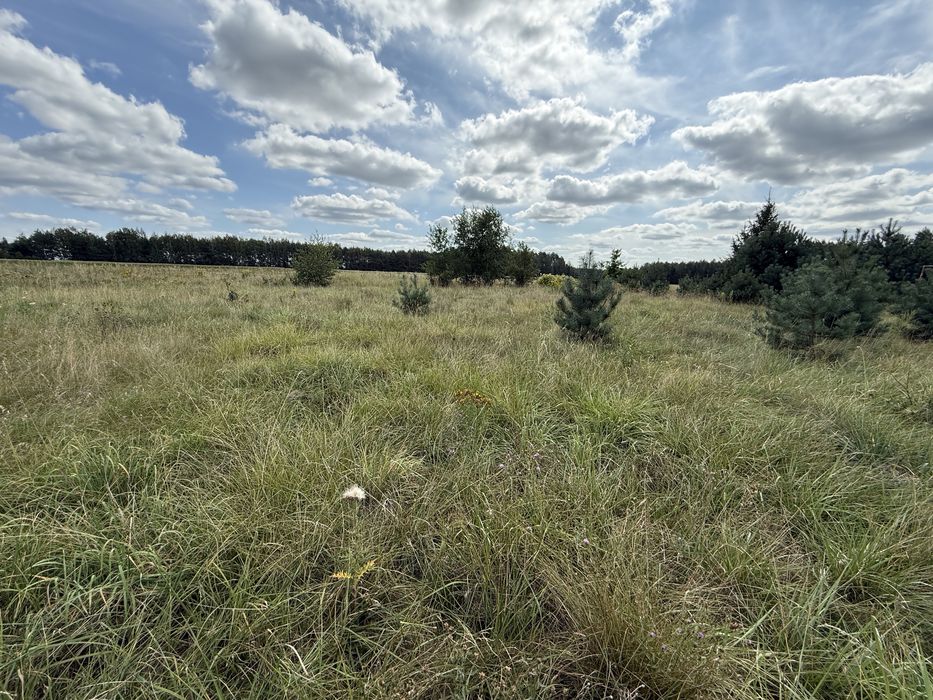 Działka 3000m Wojszki