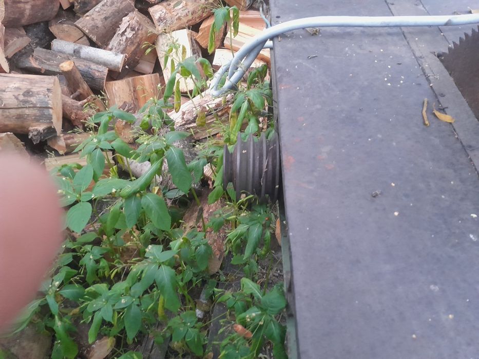 Krajzega stuł bez silnika