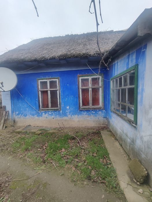 Продам хату и 20 соток земли.